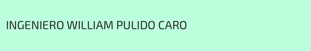 INGENIERO WILLIAM PULIDO CARO